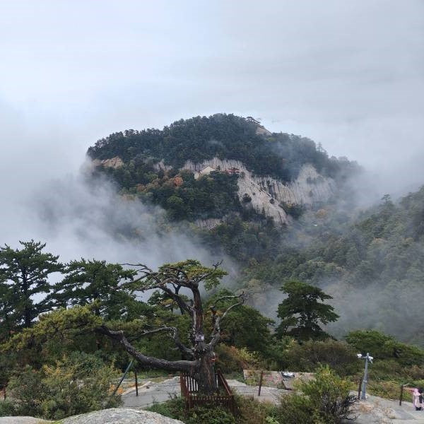 1-Day Mount Hua Adventure Private Tour | Sacred Mountain Hike