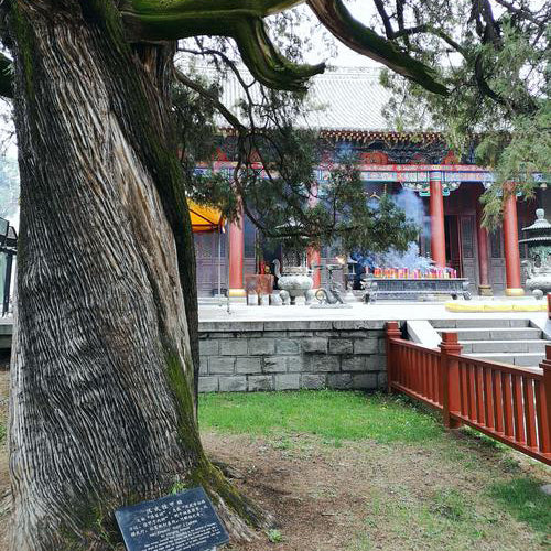 1-Day Hukou Waterfall & Yellow Emperor’s Mausoleum Private Tour