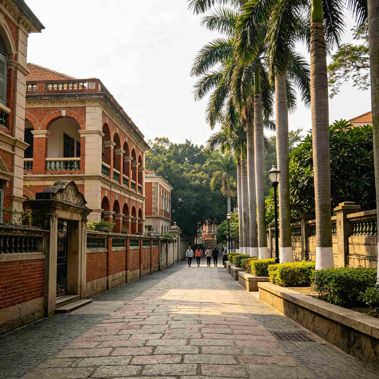 Gulangyu Island historic colonial architecture with palm tree lined street