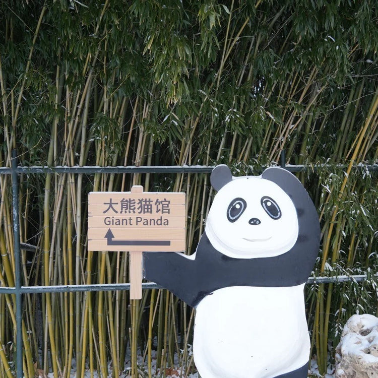 1-Day Imperial Gardens & Panda Encounter Private Tour