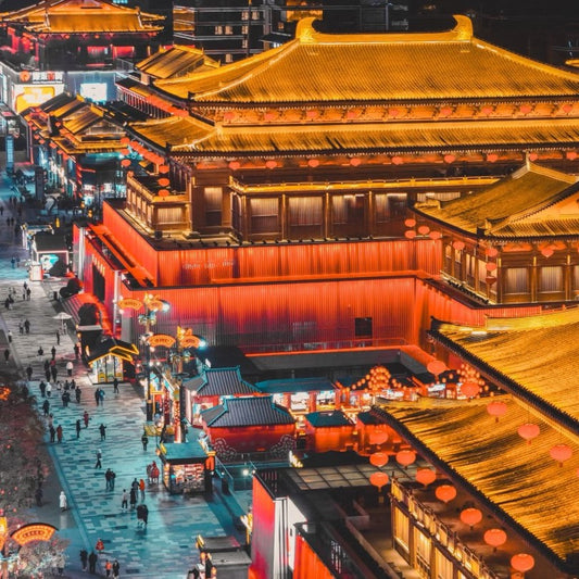 1-Day Qianling Mausoleum & Famen Temple Private Tour