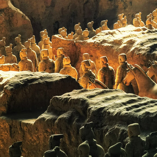 1-Day Xi‘an Terracotta Warriors & Ancient City Wall Tour