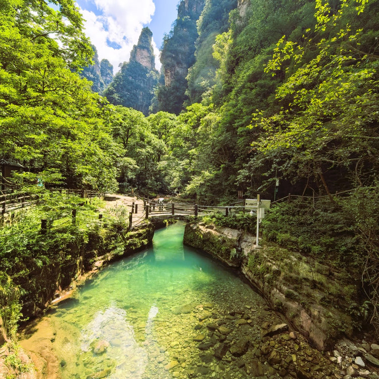1-Day Zhangjiajie National Forest Park Private Tour | Avatar Mountains