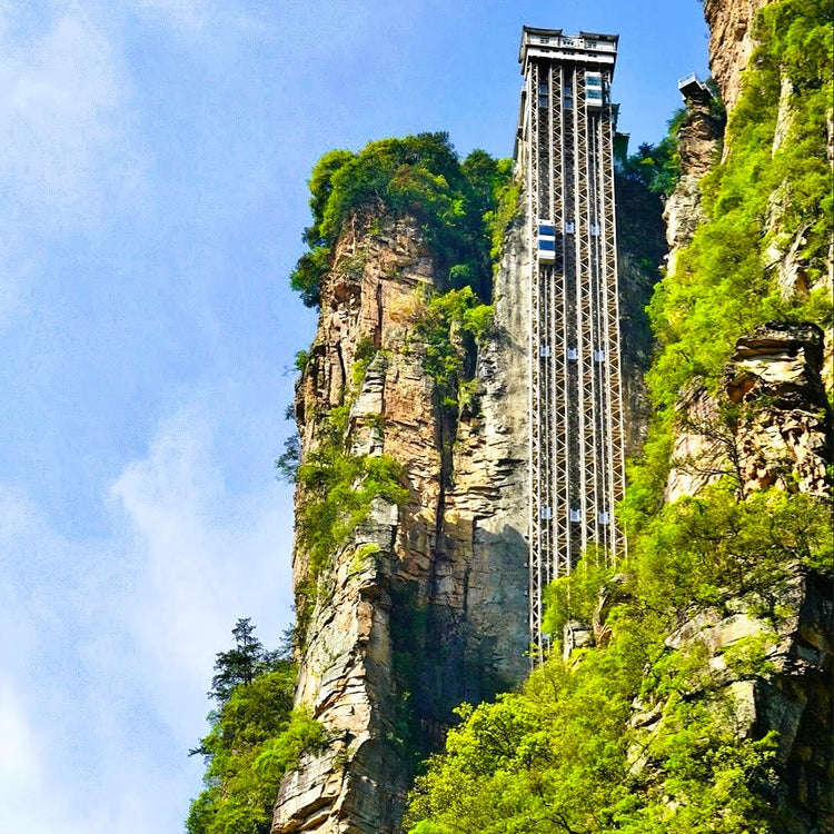 1-Day Zhangjiajie National Forest Park Private Tour | Avatar Mountains