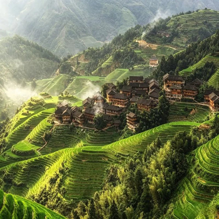 Morning mist over Longji Rice Terraces village, lush green terraced fields Longsheng Guangxi China