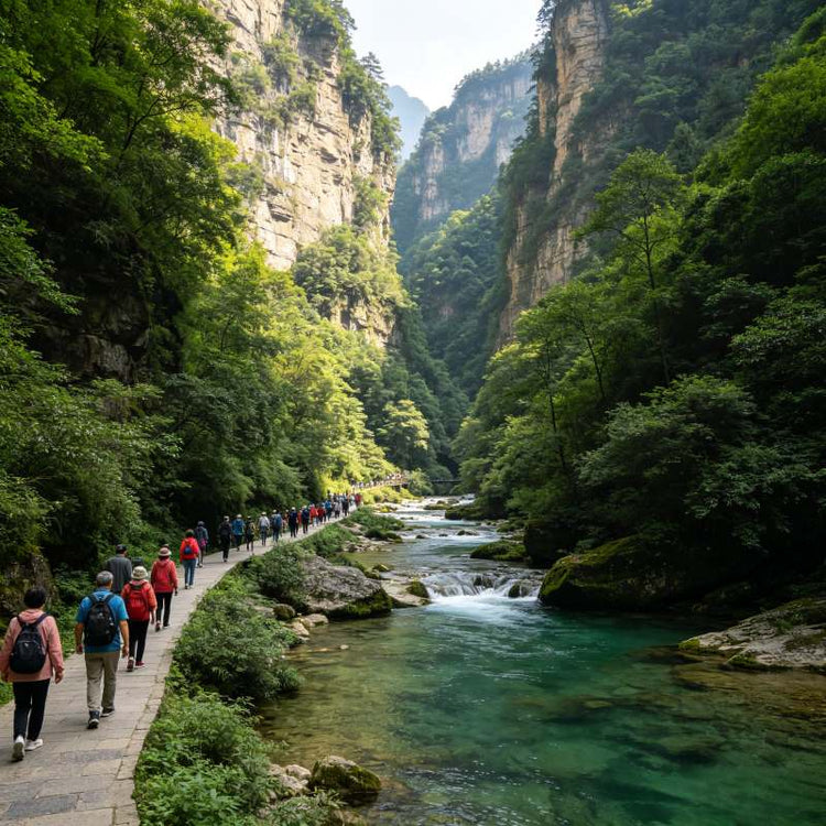 Hikers on Jinbian Stream trail through lush canyon, Zhangjiajie National Forest Park