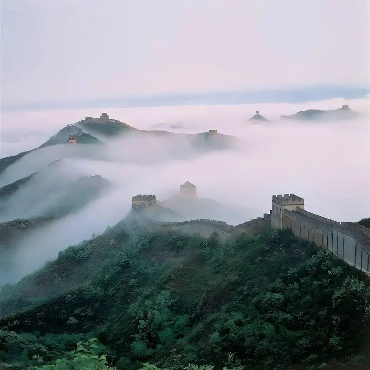 Simatai Great Wall winding through a sea of clouds at dawn, misty mountain ridges and watchtowers emerging from fog