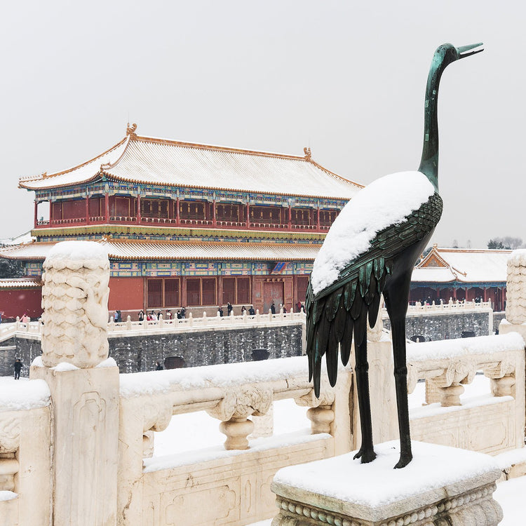 Snowy Forbidden City view with bronze crane sculpture, Beijing historical heritage tour