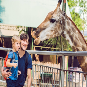 Guangzhou Chimelong Safari Park family adventure wildlife viewing