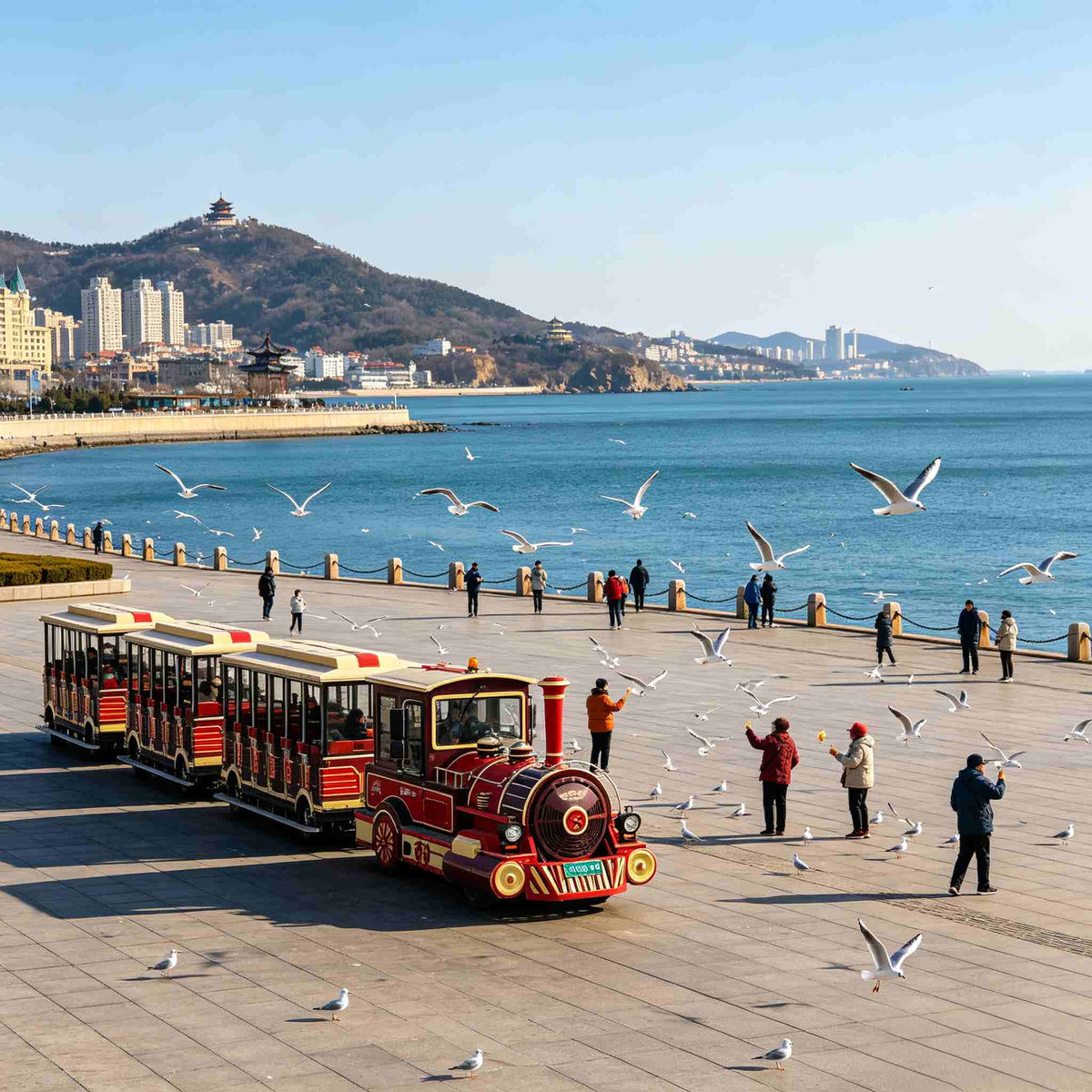 Sightseeing train at Xinghai Square with seagulls, Dalian coastal landmark