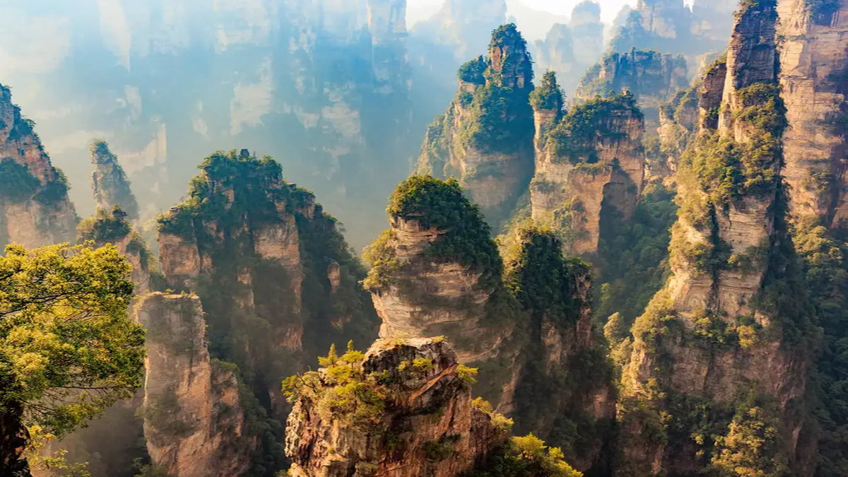 Zhangjiajie sandstone pillar forest, otherworldly Avatar mountain peaks at sunrise, Hunan China