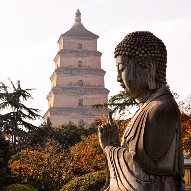 2-Day Xi’an Imperial & Cultural Highlights Private Tour