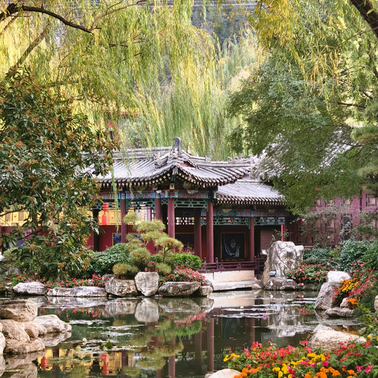 Explore the Historic Huaqing Palace