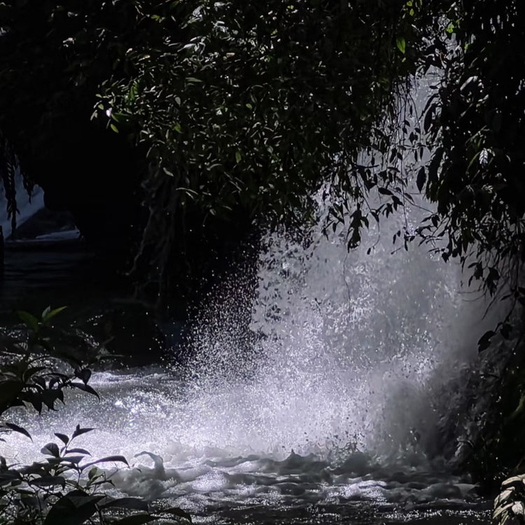 4-Day Guilin & Yangshuo Essence Private Tour