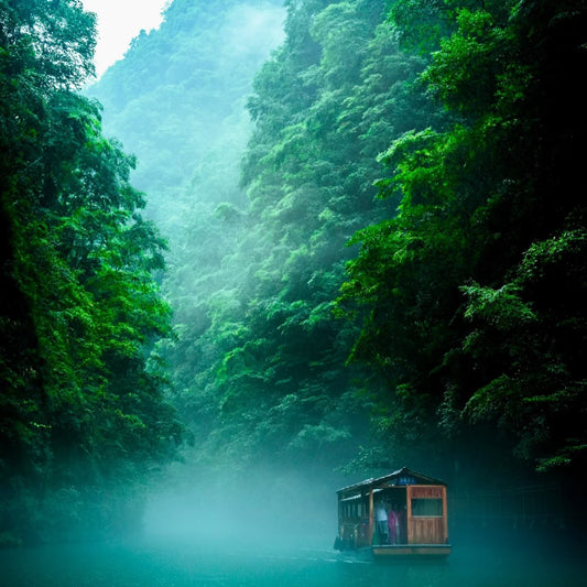 1-Day Huanglong Cave & Zhangjiajie Grand Canyon Private Tour