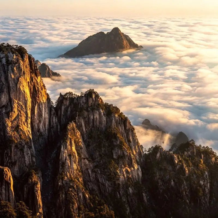 Huangshan Mountain granite peaks and sea of clouds, golden sunrise light over rocky cliffs, iconic Chinese natural wonder, China inbound travel attraction