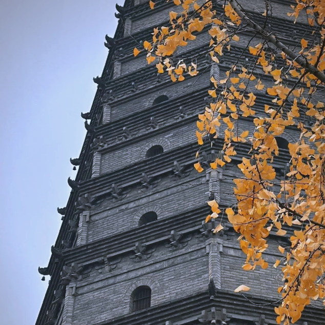 1-Day Qianling Mausoleum & Famen Temple Private Tour