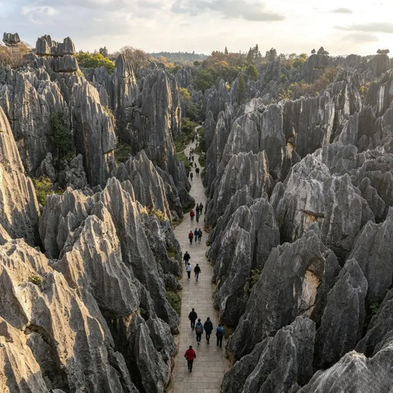 Marvel at the Otherworldly Stone Forest