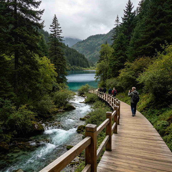 Travelers hiking on forest boardwalk in Jiuzhaigou Valley National Park