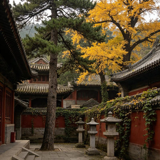 Hongluo Temple ancient temple and pine forest scenery