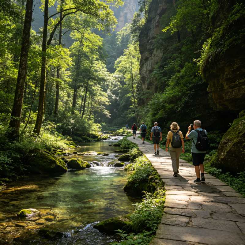Hikers walking along Golden Whip Stream trail through lush green canyon with clear stream, Zhangjiajie National Forest Park