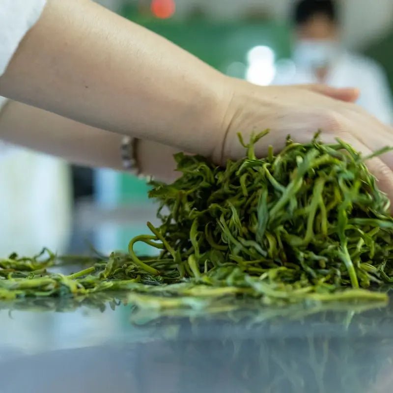 Hangzhou Longjing tea roasting hand green tea leaves private tour
