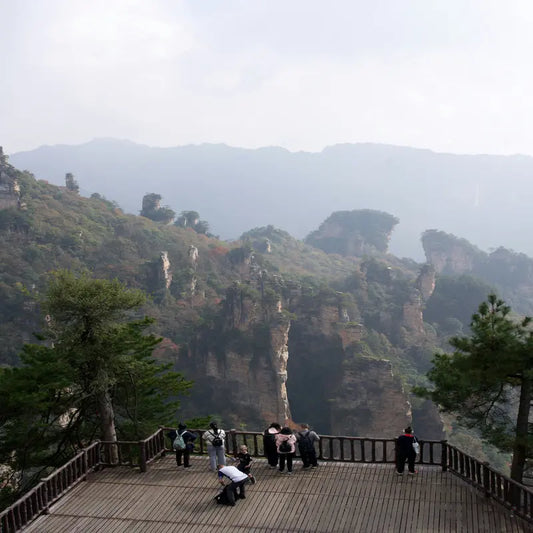 Zhangjiajie National Forest Park quartz sandstone peak forest observation deck with tourists overlooking misty karst mountains, Hunan China