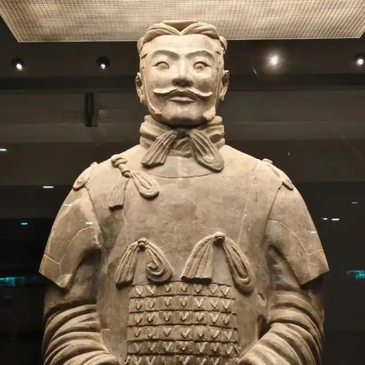 1-Day Xi‘an Terracotta Warriors & Ancient City Wall Tour