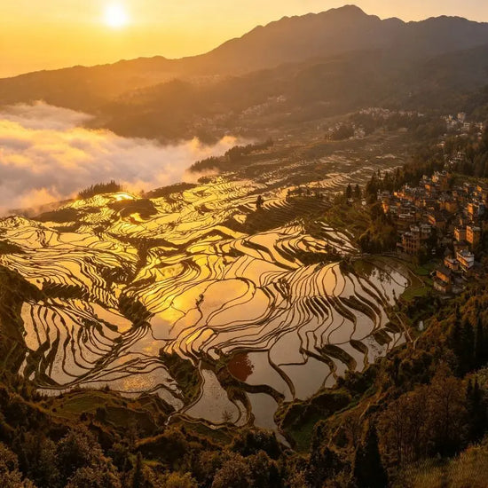 Admire the Spectacular Yuanyang Rice Terraces