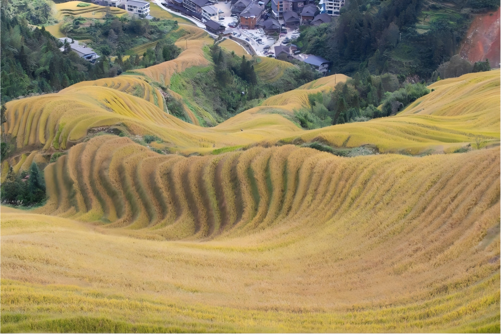 Longji Rice Terraces, amazing mountain farming landscape