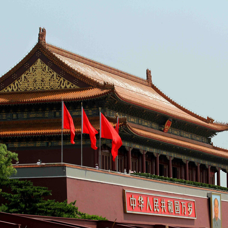 1-Day Beijing Heritage & Panda Encounter Private Tour