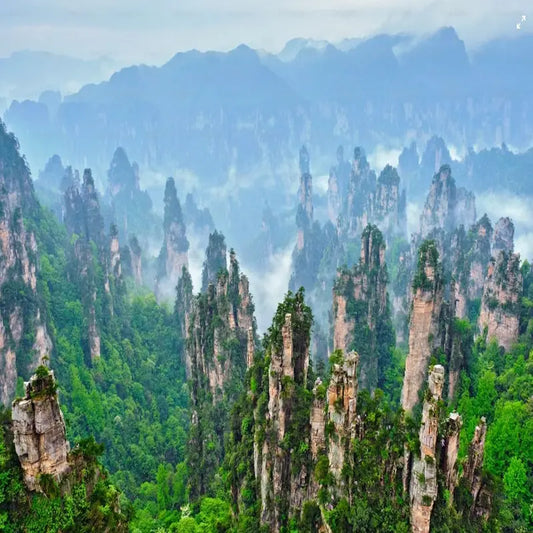 Tianzi Mountain panoramic view of quartz sandstone pillar peaks in sea of clouds, Zhangjiajie National Forest Park Hunan China, Avatar Hallelujah Mountains inspiration
